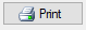 17. Print